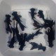 Black Moor