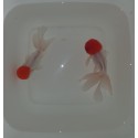 Red Cap Oranda Short Body Grado A cm. 10-11