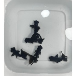 Black Moor cm. 6-8