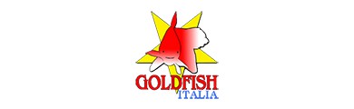 GOLD FISH ITALIA